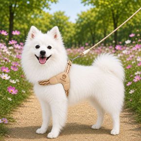 반려동물 산책 앞섬방지 가슴줄 경량 Y형 하네스[36179516]