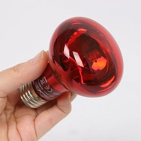 아마존 히팅 스팟 램프 50W 렙티주 파충류램프