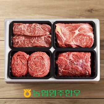 작심밀도 [농협영주한우]1++(근내지방도8) 로스정육모듬 한판 9호 / 총 1,2kg (등심300g,채끝300g,불고기300g,양지300g)