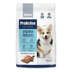 독 프로액티브 관절 체중 1.2kg x 2 WB77B6E