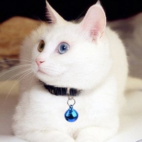 고양이 소리나는 목방울 딸랑이 애묘 반려동물
