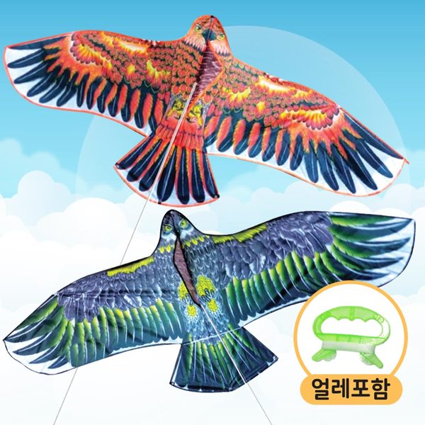 확대된 대표 대표이미지