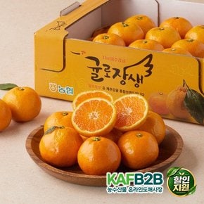 가을 하우스 감귤 2kg 박스