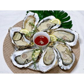 경남 고성 굴 석화 각굴 석굴 3kg