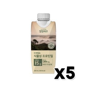 일일하우 마시는식물성프로틴밀 비건음료 250ml x 5개