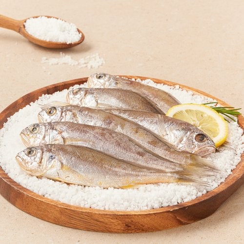 [냉동][국산] 영광팩굴비 (800g/16미)