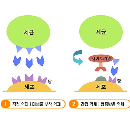 상품이미지3