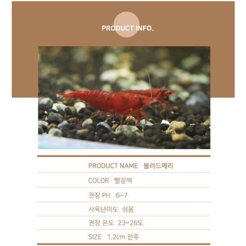 상품이미지2