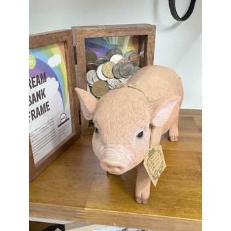 BRISKSTYLE 펫뱅크 마이크로 피그 핑크