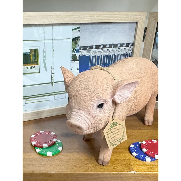 펫뱅크 마이크로 피그 핑크