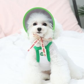 [오드스튜디오] 또또또 친구들 UV체크 강아지썬캡 껴또 M