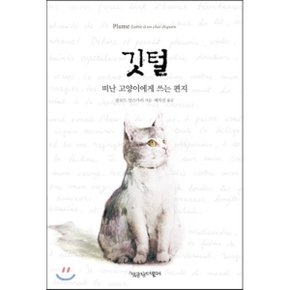 깃털 떠난 고양이에게 쓰는 편지