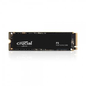 마이크론 Crucial P3 대원씨티에스 (2TB)