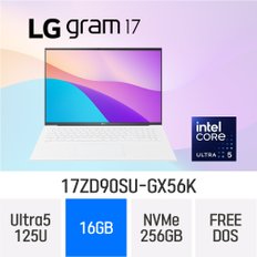 LG전자 2024 그램17 17ZD90SU-GX56K - 램 16GB / NVMe 256GB/FREE DOS