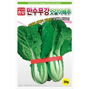 배추씨앗종자 만수무강 엇갈이 배추 (20g)