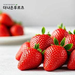 특품 국내산 고당도 설향 생과 딸기 1kg 2kg 내외