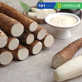 [서안동농협] 국내산 장마 알뜰 2kg[35574335]