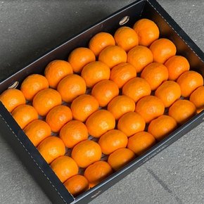 [오늘신선]하우스재배 갓 수확한 카라향 선물세트 4.5kg(중대과) 18-30과내외