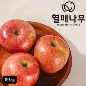열매나무 거창 못난이 부사사과 3kg+3kg(총 6kg)[35142491]