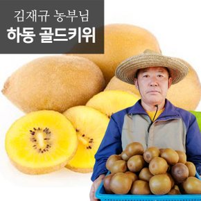 새콤달콤 제철 하동 골드키위 10kg(95과내외) 특과