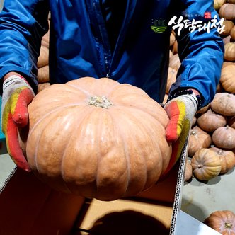 식탐대첩 국내산 잘익은 늙은호박 3-4kg (1-2통)