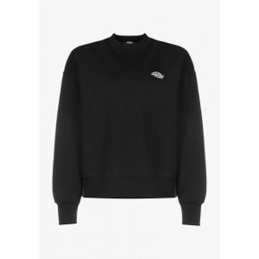 4735546 Dickies SUMMERDALE - Jumper black