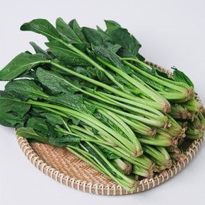 제철 육지초 남해 시금치 2kg(박스포함) [D]