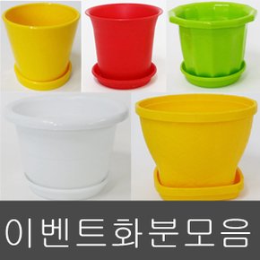 화분백화점 화분 미니화분 다육화분 플라스틱화분 이벤트화분