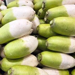 [더조은] 제주 세척 월동무 5kg (개당 800-1200g)
