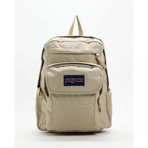 4650586 JanSport Union Pack Backpack - Desert Beige