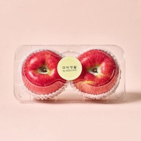 프리미엄 양구 엔비사과 2입(900g)