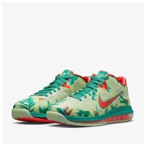 LEBRON IX LOW DO9355-300