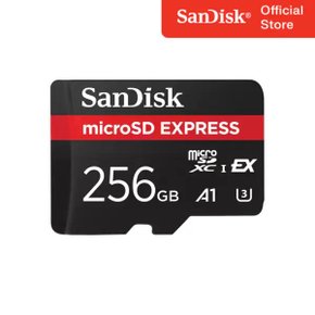 microSD QXFN 익스프레스 256GB