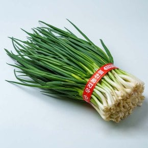 프레시 국내산 깐쪽파 1단(1kg 내외)