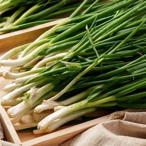 프레시 국내산 깐쪽파 1단(1kg 내외)