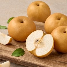 자연진리 나주배 햇배 신고배 가정용 3kg 4-7과