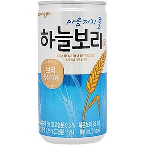 하늘보리 웅진보리 웅진하늘보리 웅진 180ml x 30캔입 보리음료 서치생활