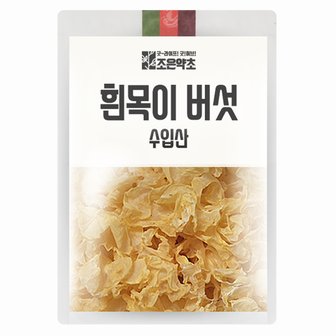 굿허브 [조은약초] 흰목이버섯 500g