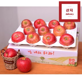 [명절 후 배송][경상북도]아삭한 경북사과 3kg 12~14과 정품 산지직송