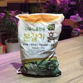 한성 선인장/다육이 전용 분갈이 흙 2.8L 1.5Kg_W2215E0