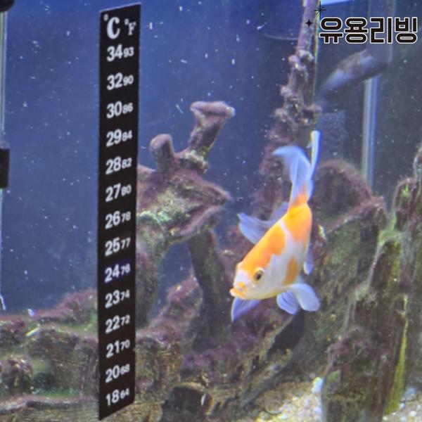 확대된 대표 상품이미지1