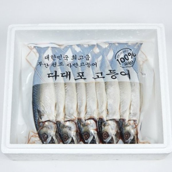 확대된 대표 image1