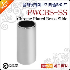 플래닛웨이브 기타 슬라이드 Planet Waves PWCBS-SS