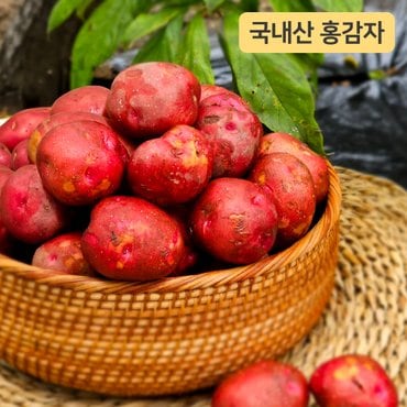 라라르떼 포슬포슬 식감 홍감자(중과) 2kg이상