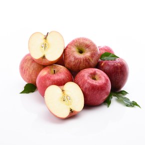 아삭아삭 사과 2kg (가정용/9과내)
