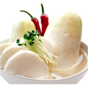 장독동치미국물이개운한물김치2kg5kg10kg