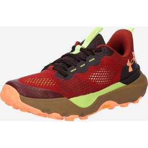 5386517 Under Armour Running Shoes Infinite Pro