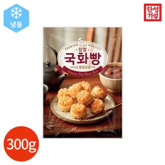 NS홈쇼핑 한성기업 찹쌀 국화빵 300g x 3봉[32436951]