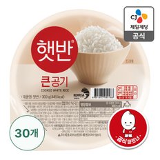 [본사배송] 햇반 큰공기 300g X 30개 (1BOX)