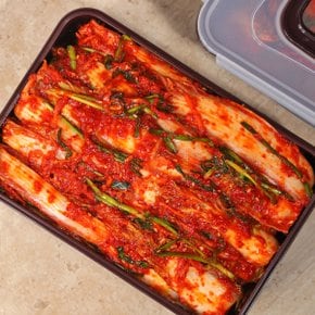 통에 담은 알배기 겉절이 1.8kg
